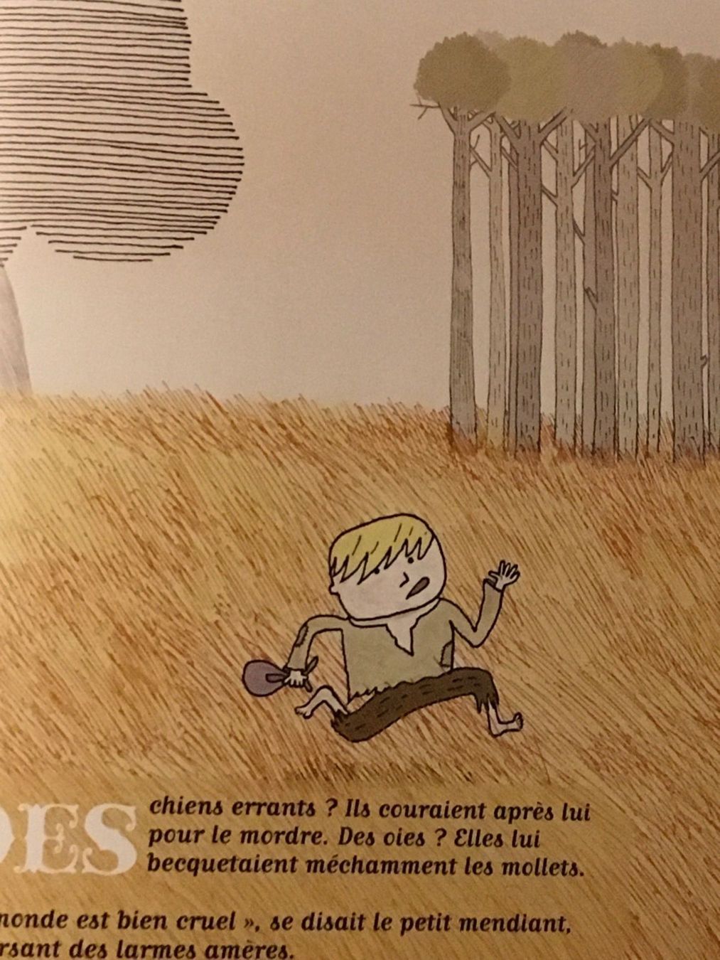 Libri: La fée et le petit mendiant – Usato da Delémont venduto da vcx 4