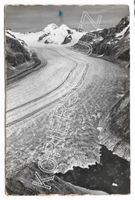 Postkarte,Eggishorn,Mönch-Trugberg-Eiger, grosser Aletschgl.