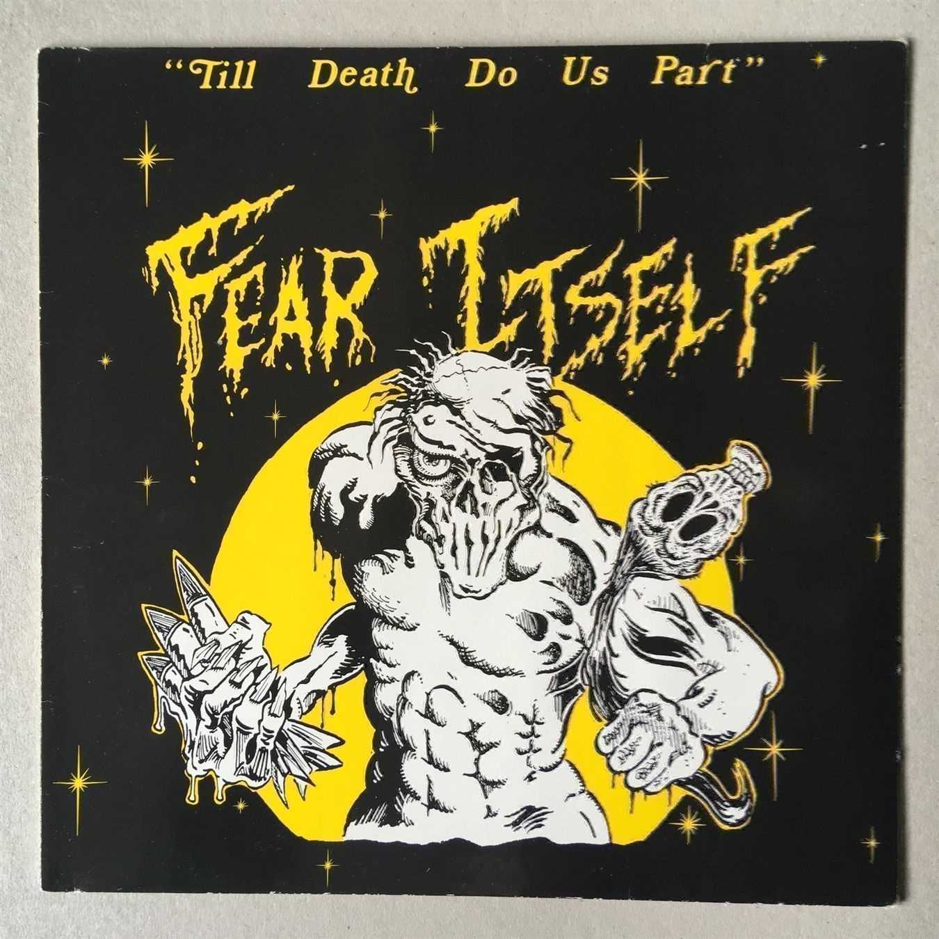 Dischi in vinile: Fear Itself – LP US Hardcore Punk – Usato da Berneck venduto da rye7778