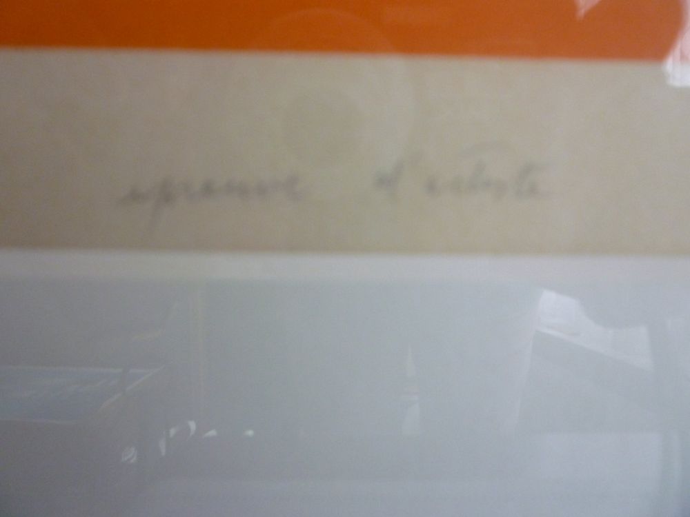 E.A. Litho Dorrazio 2