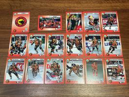 SC Bern Saison 1993/94 Hockey Cards