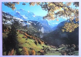 Wengen, Dorfteil, Wengwald und Jungfrau