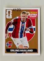 Panini Extra Sticker: Erling Haaland (FIFA WORLD CUP 2026)
