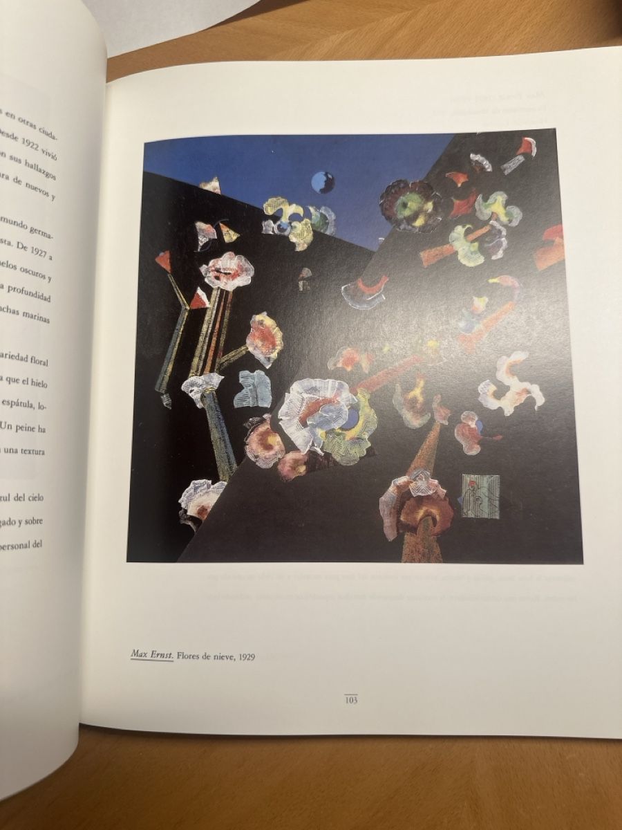 Riviste & Magazine: Sammlung Beyeler Kataloge mit Plan vom Museum – Usato da Saanen venduto da Mikeman2 5