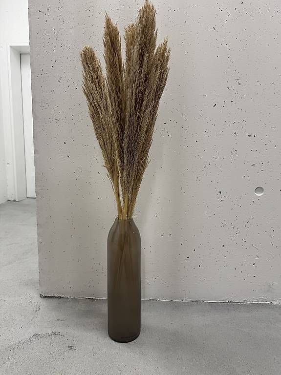 Riviera Maison Tutte le decorazioni: Riviera Maison Vase mit Trockenblumen – Usato da Rothenburg venduto da jas_7v8s