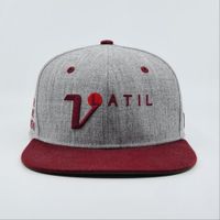 Volatil Cap Grau/Burgund - NEU! OVP