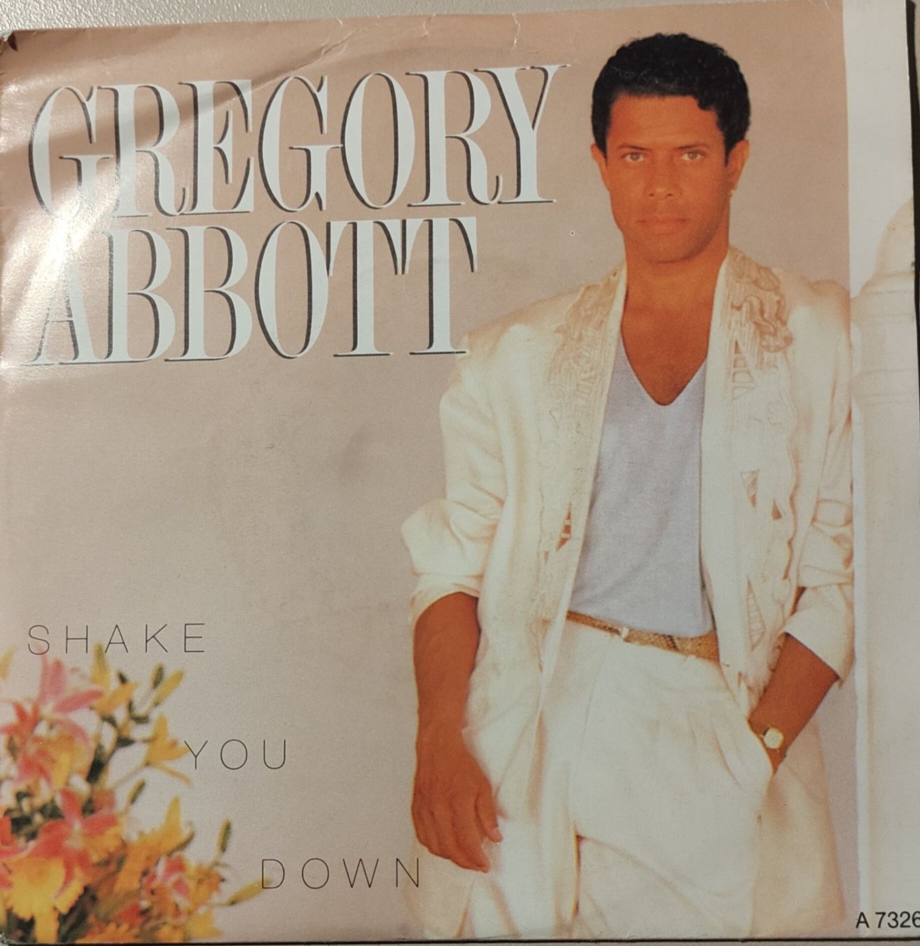 Dischi in vinile: Vinyl-Single Gregory Abbott - Shake You Down – Usato da Langenthal venduto da Modo39