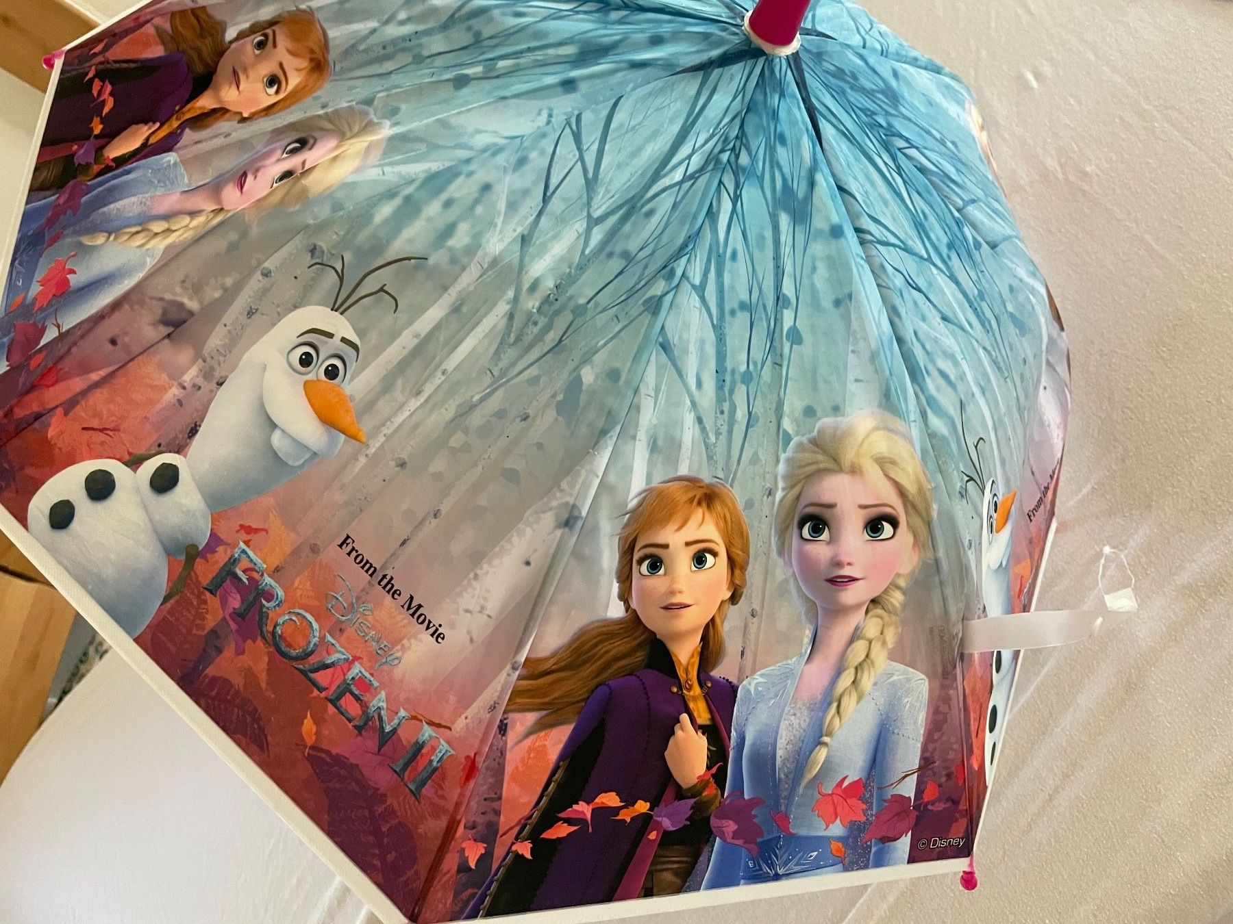 Altro per bambini: Kinder-Regenschirm: Frozen – Usato da Cham venduto da 2eye
