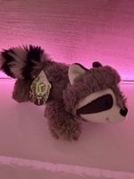 🦝 Süßer Waschbär Nici– Neu mit Etikett 🦝