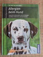 Allergien beim Hund - Dr.med.vet. Vera Biber