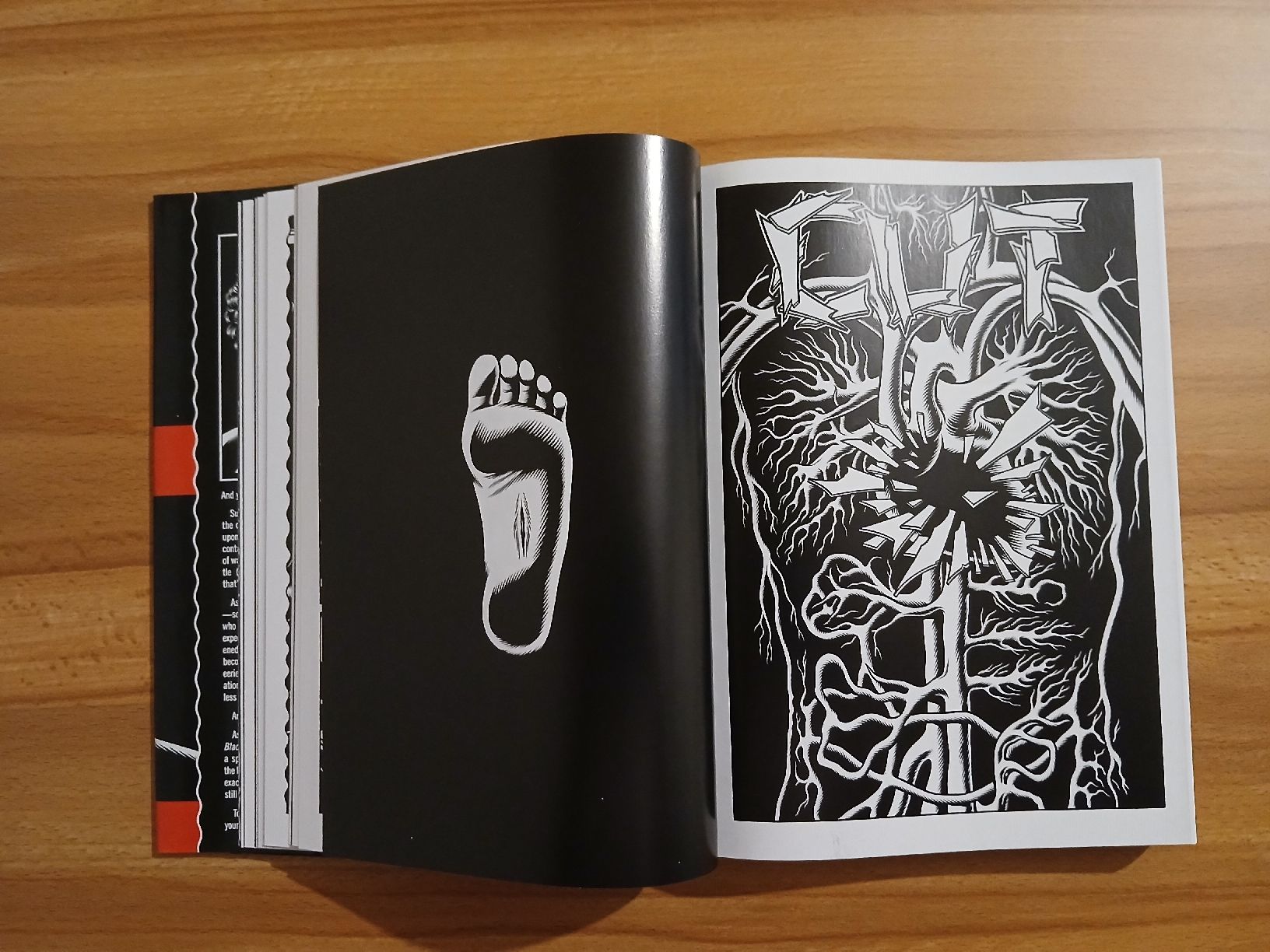 Libri: Black Hole – Usato da Le Sentier venduto da arc_2thy 4