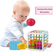Montessori Baby Spielzeug ab 1 Jahr Geschenke Mädchen Junge