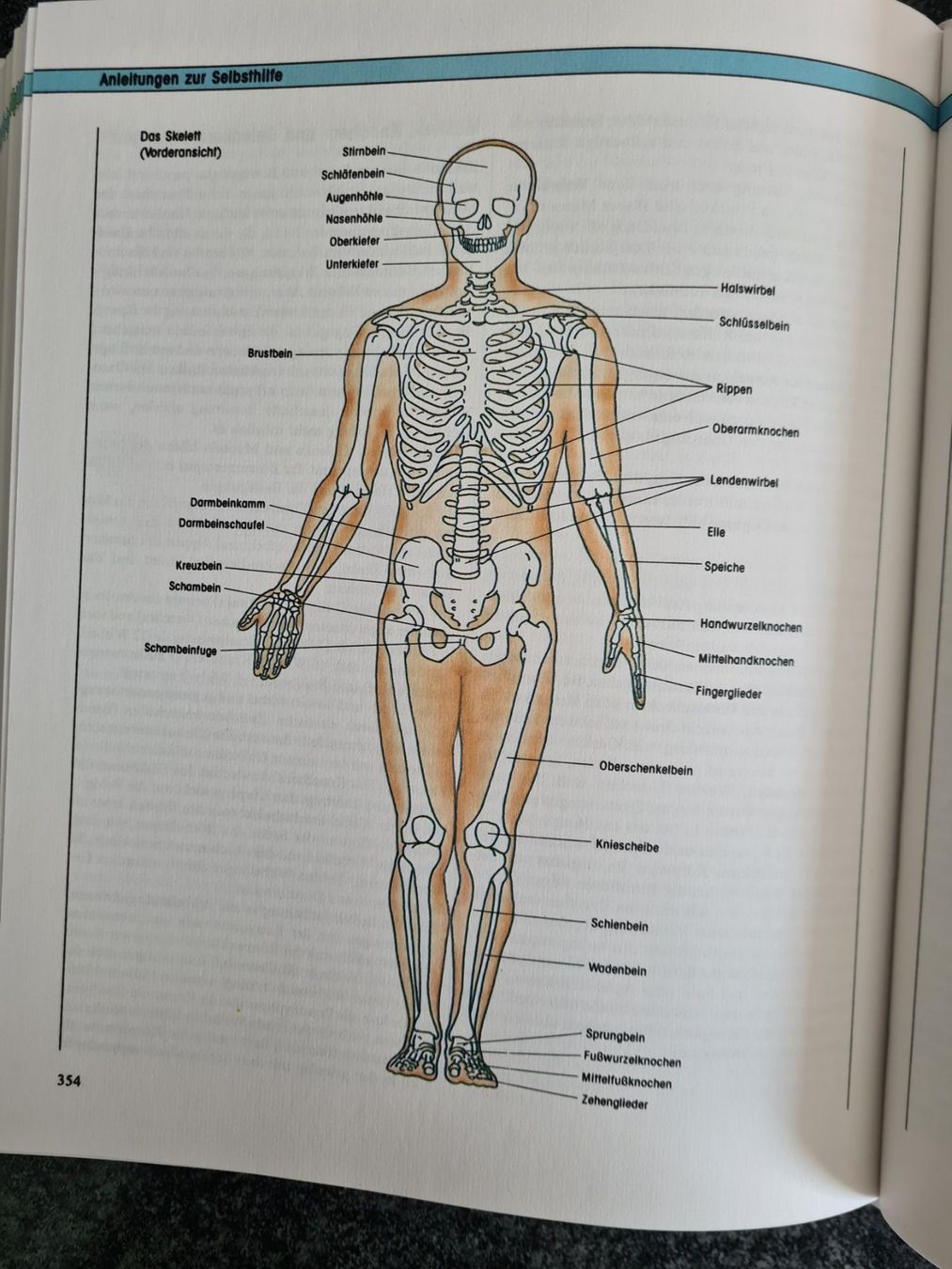 Libri: Das moderne Buch der Naturheilkunde – Usato da Klosters venduto da Riva123 2