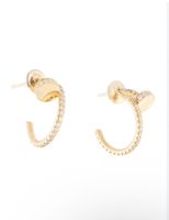 Earrings Hoops in Gold Colour