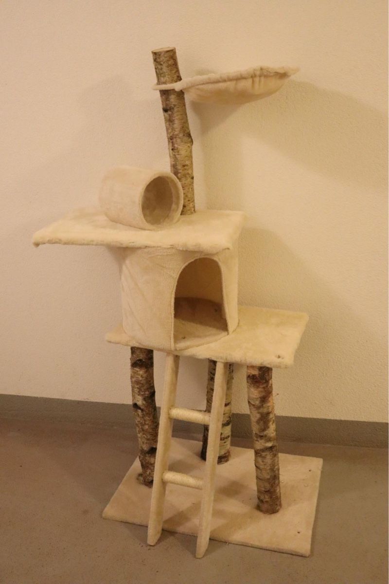 Tiragraffi: UNIKAT-BIRKEN-KATZENBAUM – Nuovo e nell'imballaggio originale da Glarus venduto da PBachmann