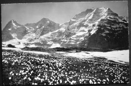 MÜRREN Frühlingslandschaft auf Winteregg