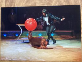 Circus Knie Foto 2006