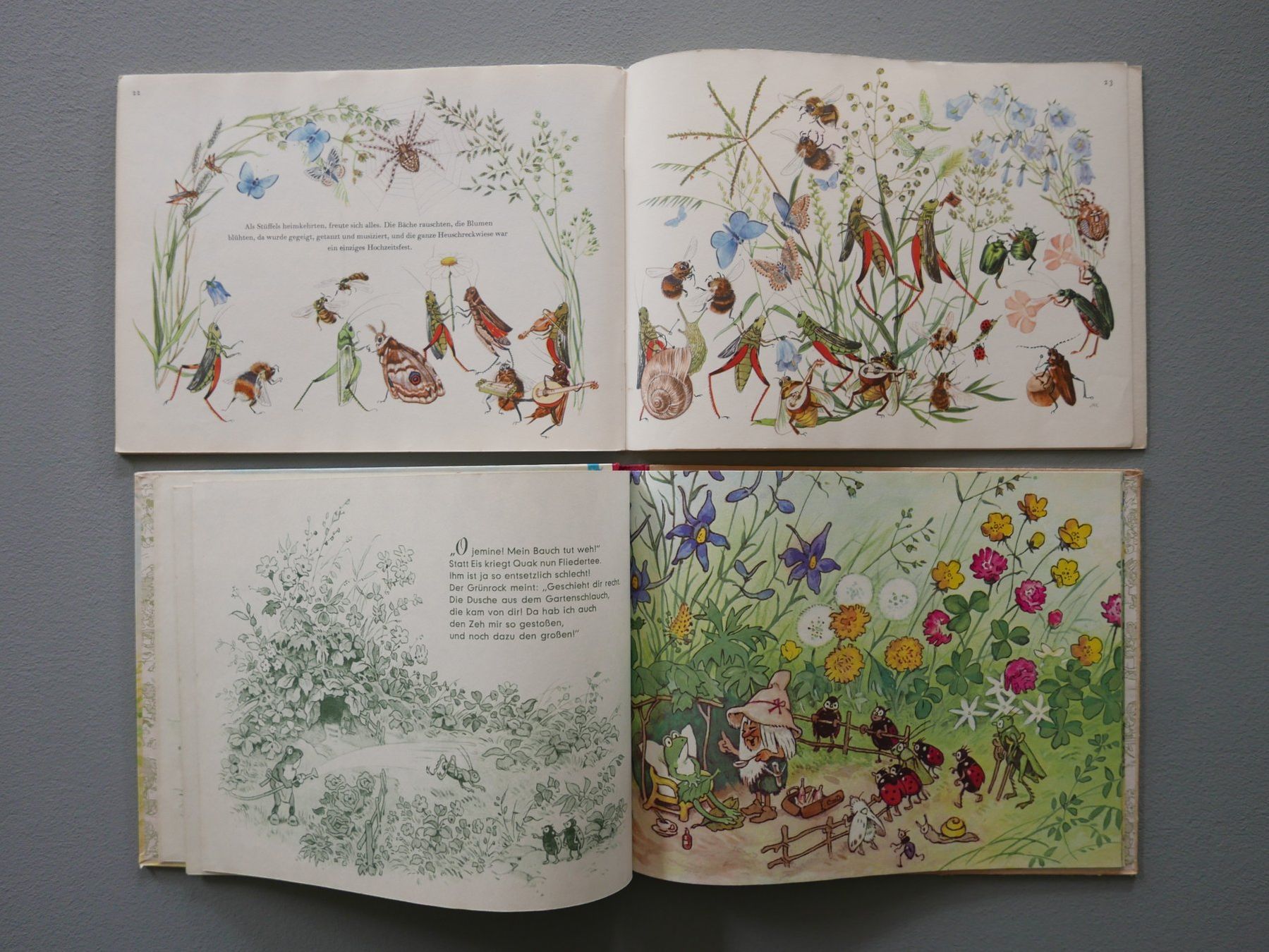 Libri: 3 ALTE KINDERBÜCHER MIT KÄFER UND WIESEN – Usato da Balgach venduto da Zwischenraum 4