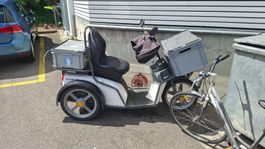 Kybuz DXP Dreirad Roller mit Korb, top Sommerfahrzeug