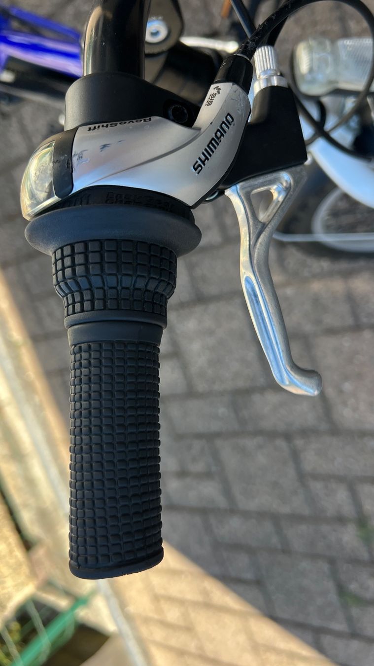 Leopard Biciclette: Knabenfahrrad – Usato da Eschenbach SG venduto da Hesal 3