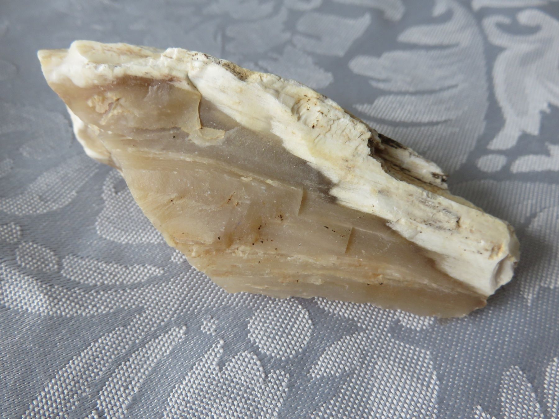 Minerali & Pietre curative: Heilstein versteinertes Holz – Nuovo (secondo la descrizione) da Rümlang venduto da BoutiqueMonique16 1