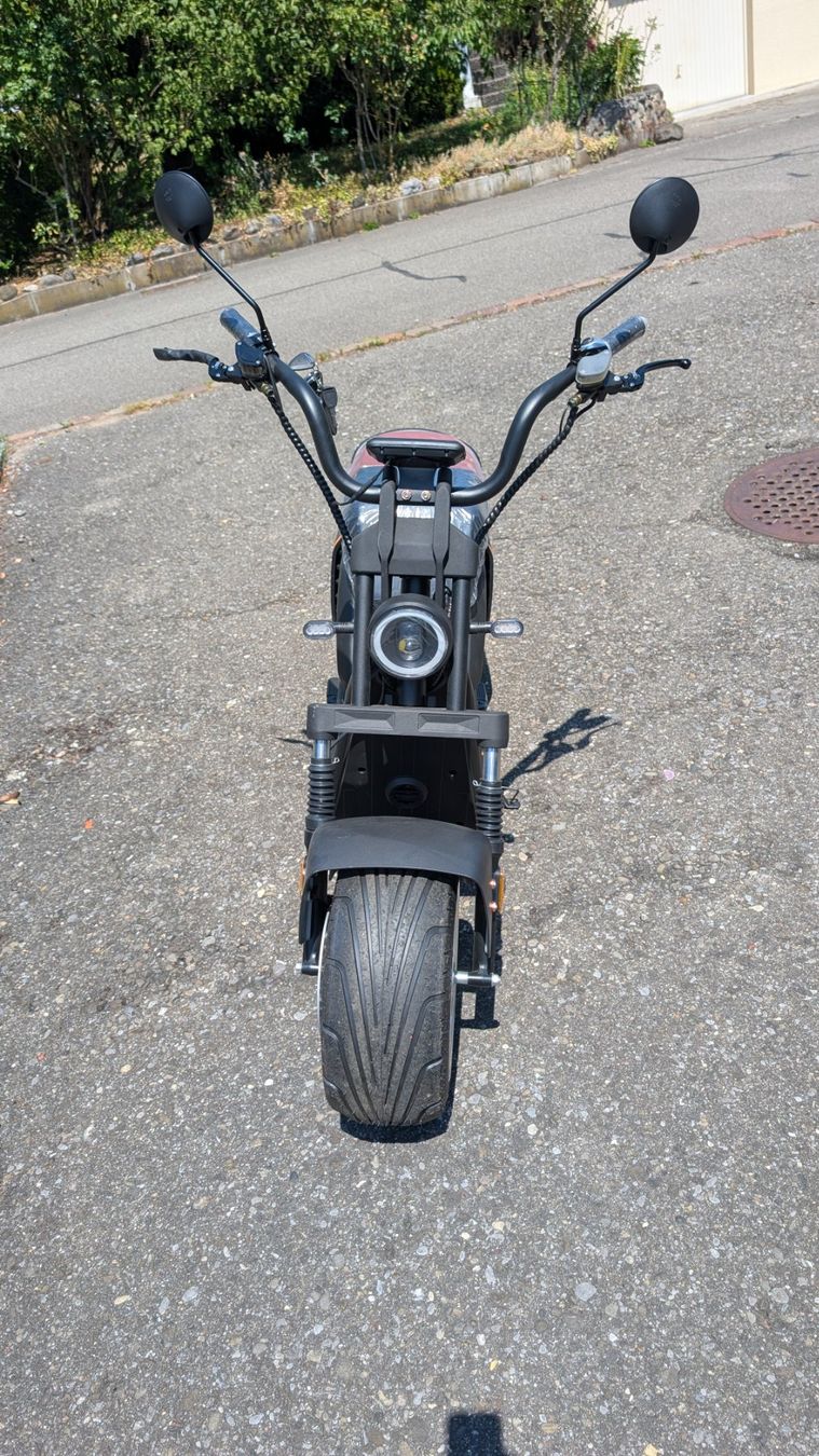 Scooter: E-Scooter / E-Roller – Usato da Zug venduto da WerWills 1