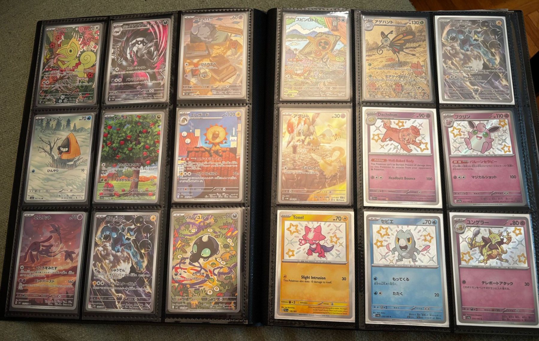 Pokémon Carte collezionabili: Pokemon Sammlung – Usato da flüh venduto da bj123 4