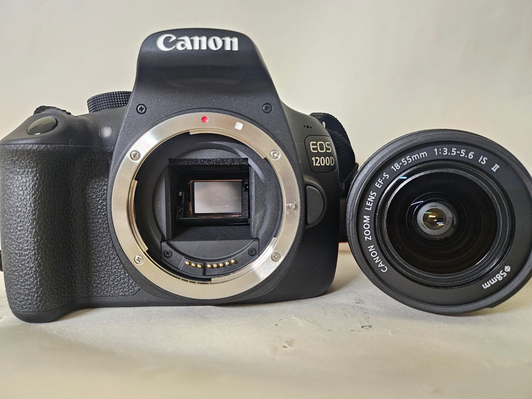 Canon Kamera: Canon 1200d – Gebraucht aus Grosswangen von Telepathy 1