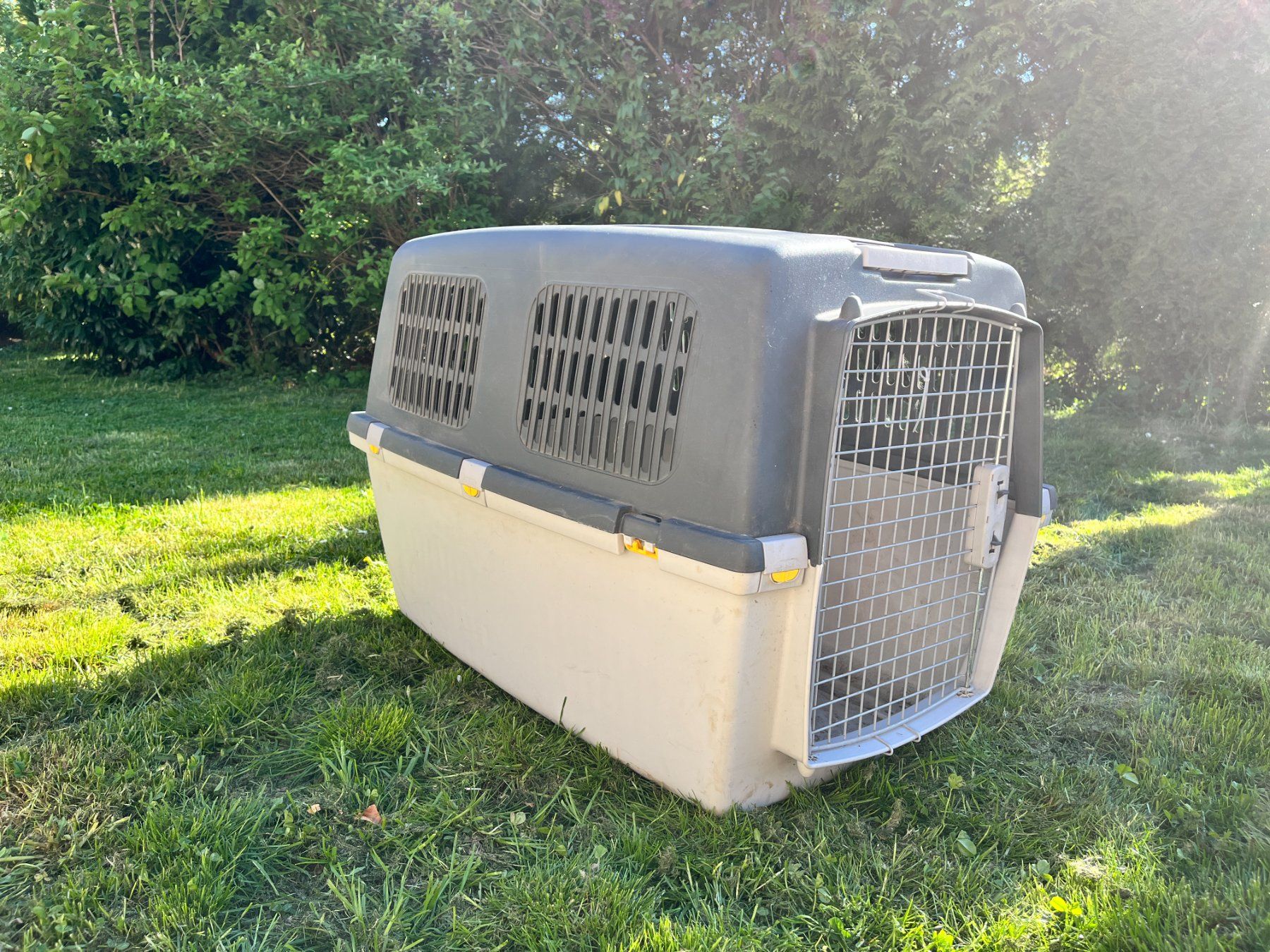Gabbie, trasporto & Sicurezza: Grosse Hundebox 90x60x70cm – Usato da Gockhausen venduto da mon_hwb9 3