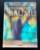 Heilende Energie der Bäume / Patrice Bouchardon