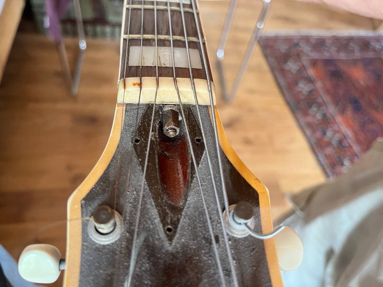 Strumenti musicali: VEGA Archtop Gitarre – Usato da Zürich venduto da gemuesebouillon 9