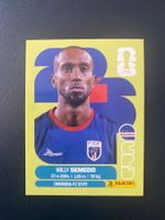 Panini FIFA World Cup Sticker CPV 19