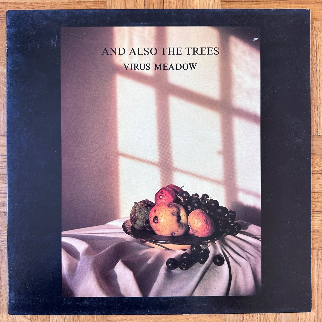 Schallplatten: LP - And Also The Trees - Virus Meadow – Gebraucht aus Breganzona von Onairda75