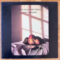 LP - And Also The Trees - Virus Meadow