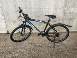 Wheeler 19 W Pro