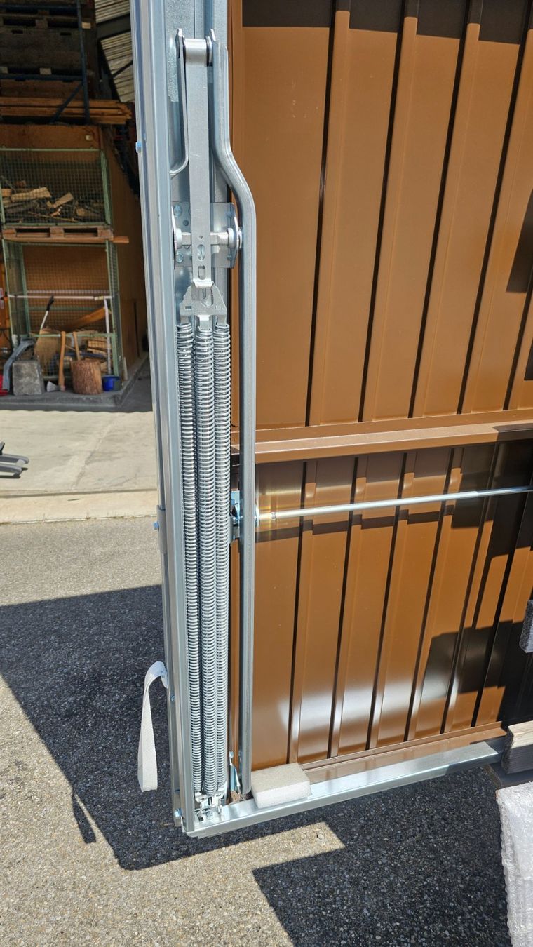 Porte: Kipptor / Schwingtor NEU – Nuovo (secondo la descrizione) da Moosleerau venduto da Philipp62364 2