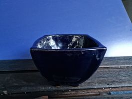 Vaso da bonsai