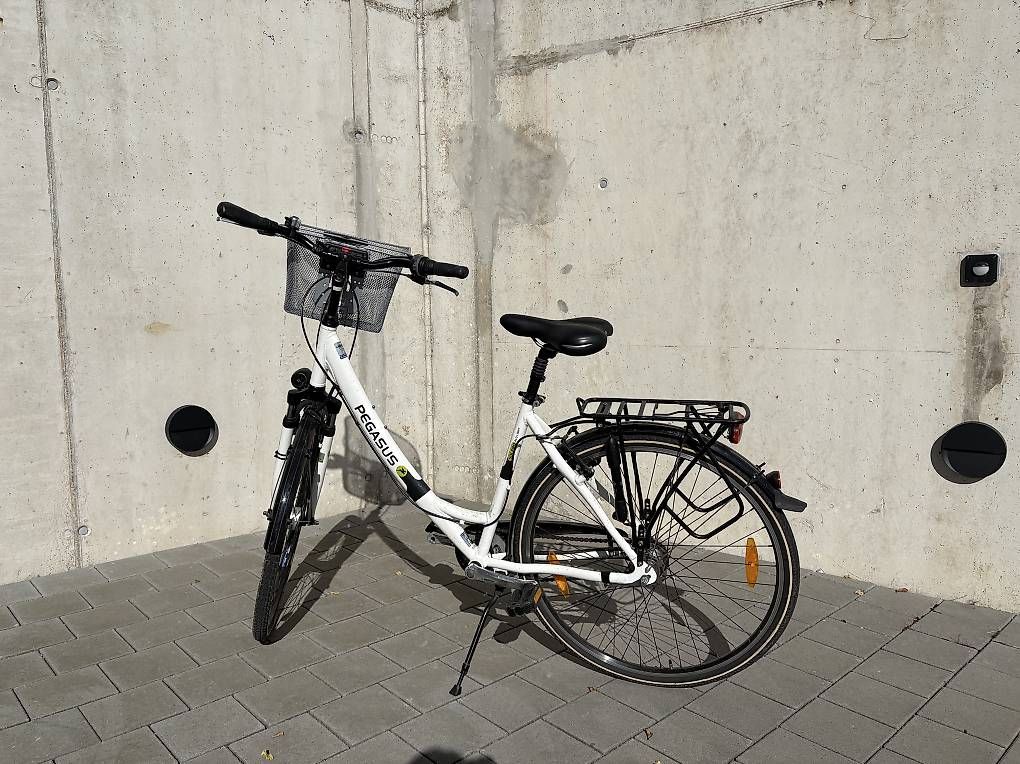 Biciclette: Pegasus Damenfahrrad  – Usato da Spreitenbach venduto da joe_fm5t