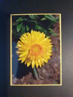 1 Karte / Motiv: Blume (handgemacht / Unikat)