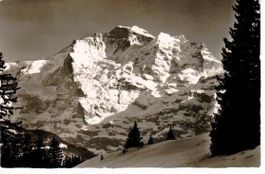 die Jungfrau 1953