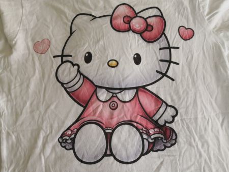 🤩213 STK: HELLO KITTY & LITTLE TWIN STAR & PETTICOT & CO.