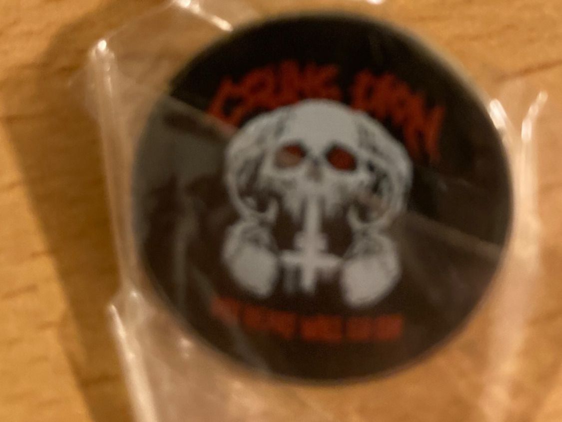 Broschen & Nadeln: Celine Dion - Pin Anstecker Pop – Neu (gemäss Beschreibung) aus Horn von abutre72