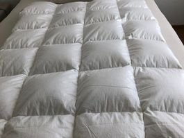 Sleepline LUXE-S primo Duvet 160x210 cm neu
