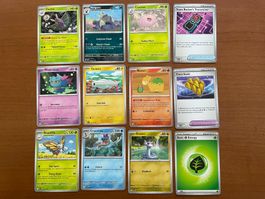 Pokemon 12er Karten Set (Versand gratis)
