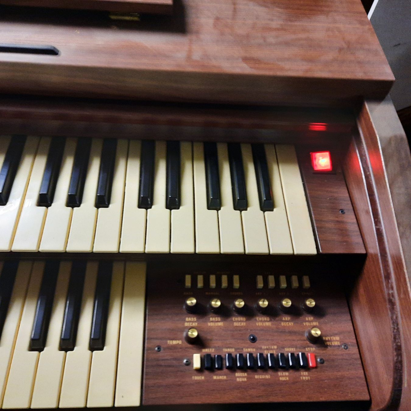 Strumenti musicali: elektr. Orgel – Usato da Thun venduto da sch_pn5v 2