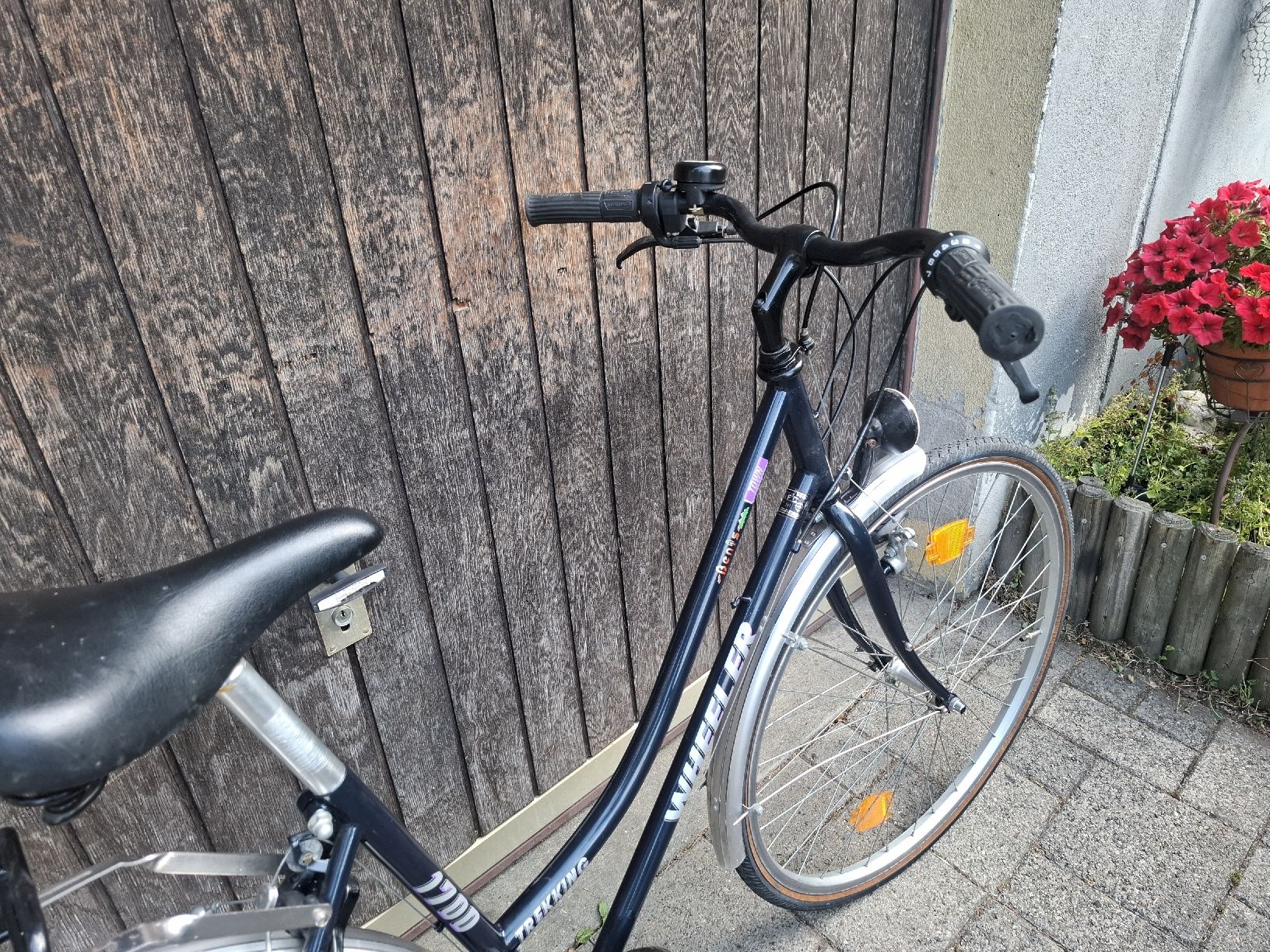 Wheeler Biciclette: Damenvelo  – Usato da Balterswil venduto da schnecke89 3