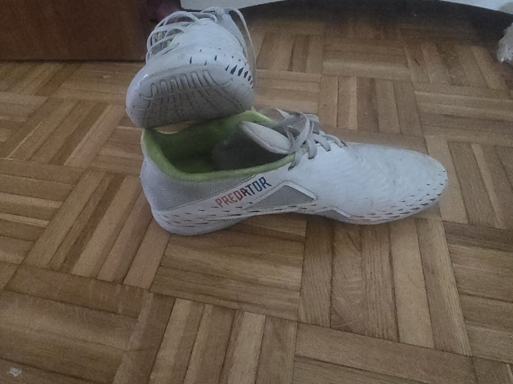 Adidas Herrenschuhe: Chaussures de foot Adidas Predator, pointure 43 1/3 – Gebraucht aus Mont-sur-Lausanne von Didinho 2