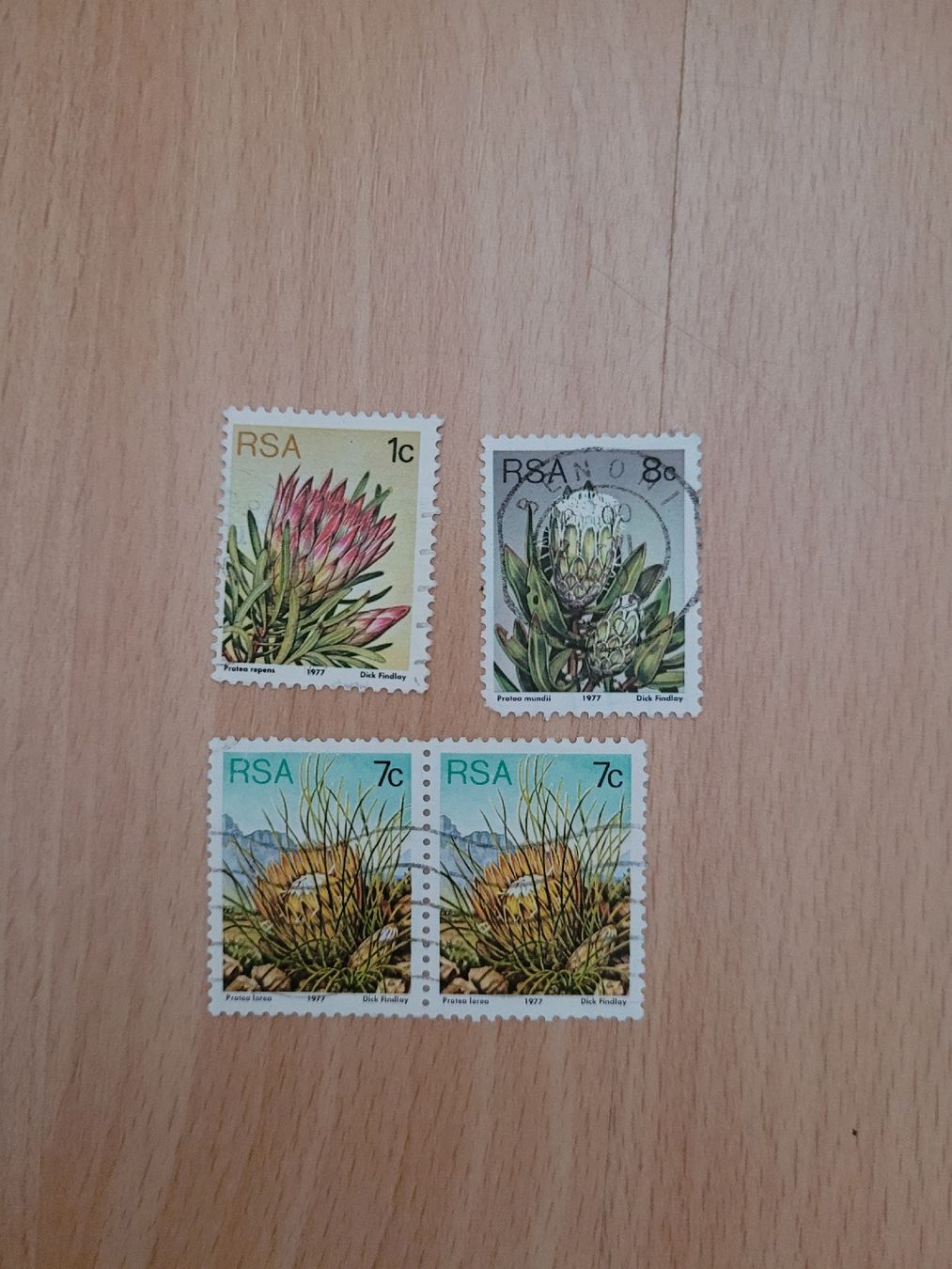 Tous les timbres: Briefmarken Südafrika Pflanzen – D'occasion à Inwil par Flower2325