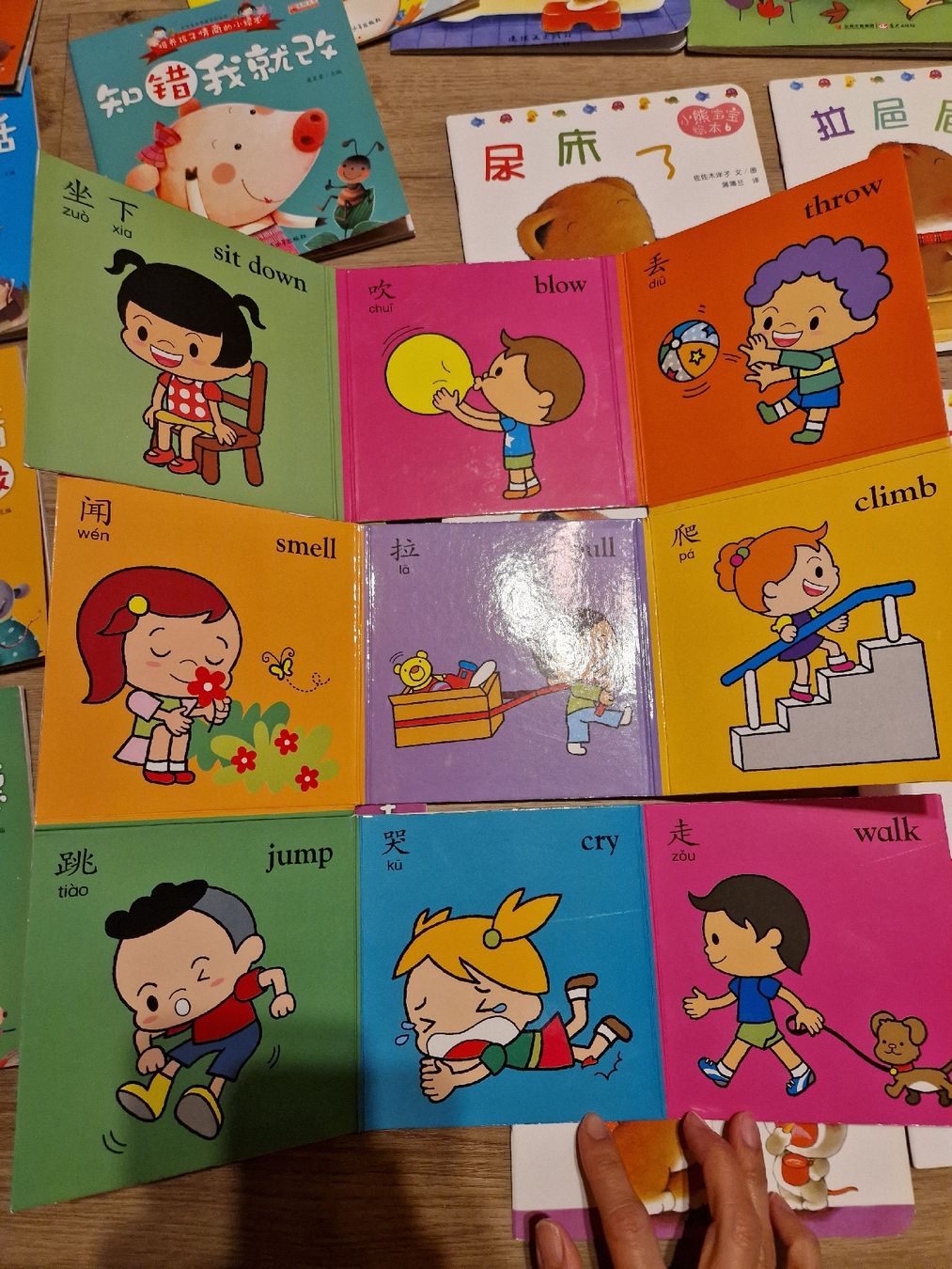 Libri: Chinesische Kinder Bücher 36 Stücke  – Usato da Wimmis venduto da traubenq 6