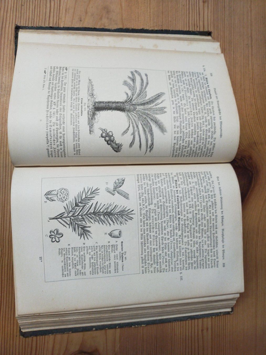 Libri: Buch Leunis Synopfis Pflanzenkunde 1883 – Usato da Ehrendingen venduto da Axe31 8